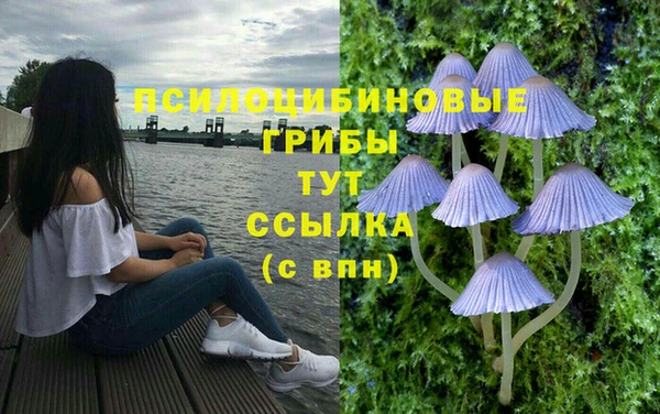 мет Пролетарск