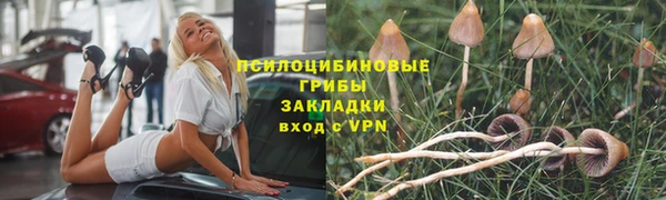 твердый Алексин
