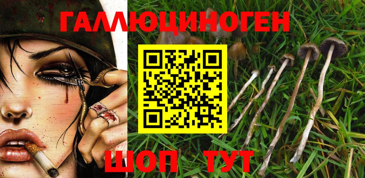Галлюциногенные грибы мухоморы Кировск