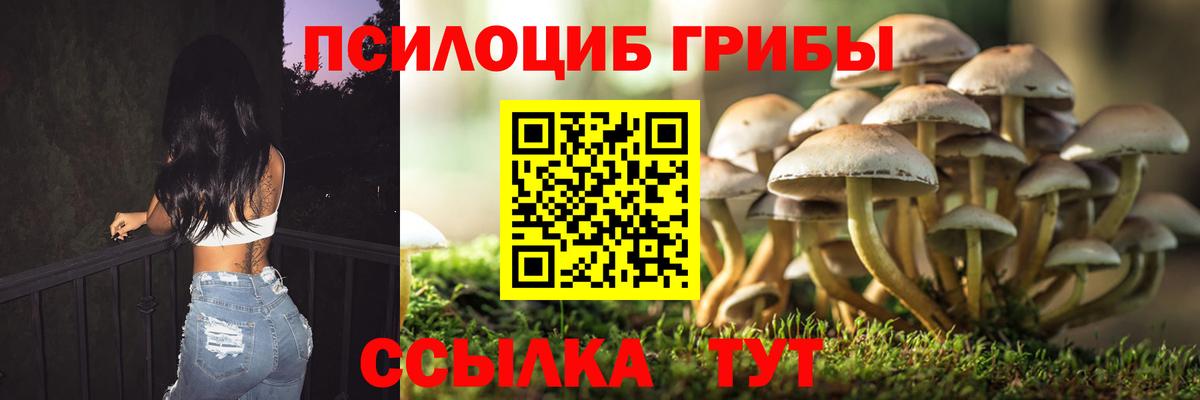 Псилоцибиновые грибы мицелий  Вход с VPN  Кировск  Псилоцибиновые грибы MAGIC MUSHROOMS 